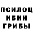 Псилоцибиновые грибы мицелий Madam Rex